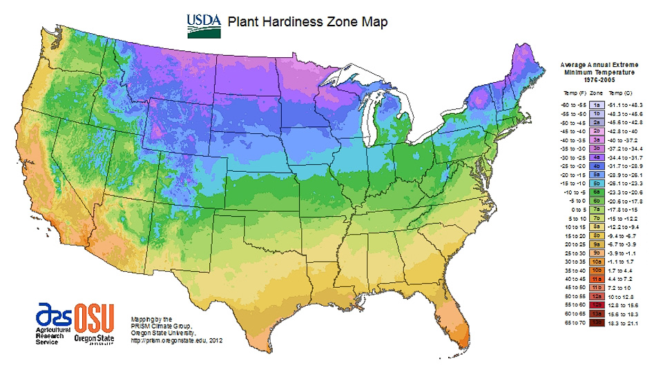 USDA Plant Hardiness Map